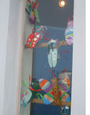 BUGS DISPLAYED IN lLANDUDNO MUSEUM WINDOW (on display now)